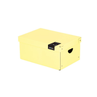 Archivační box s víkem Pastelini - 355x240x160 mm, lamino, žlutý