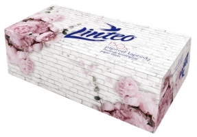 Kosmetické kapesníčky Linteo - v krabičce, dvouvrstvé, 100% celulóza, 150 ks